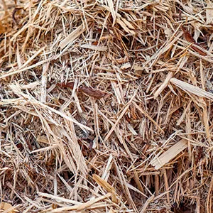 Щепа для арболита оптом в Первоуральске и других различных марок заказать от 16 тонн